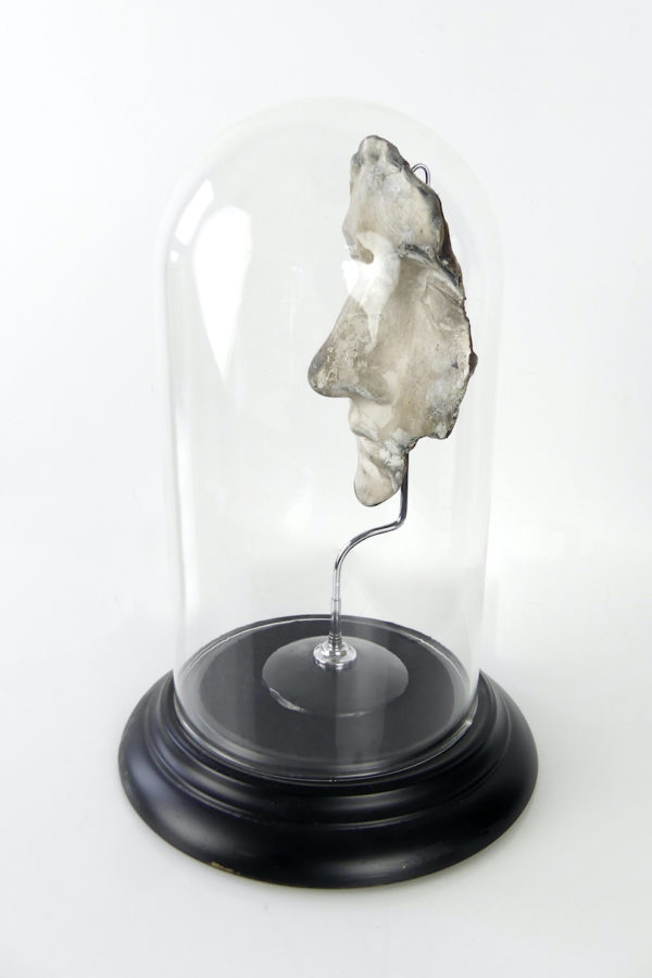 Fragment de visage en plâtre sous cloche (profil)
