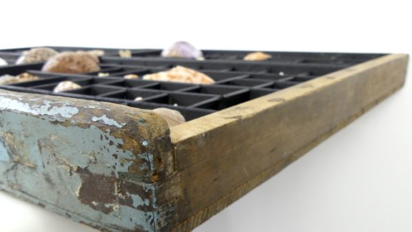 Tableau de coquillages dans casse d’imprimerie (dessous 2)