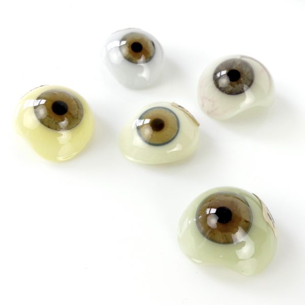 Coffret complet de 80 globes oculaires (détail 3)