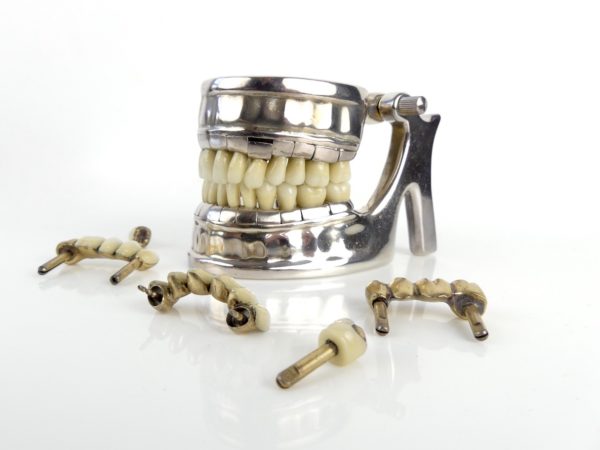 Modèle VÉCABÉ pour dentiste (mâchoire)