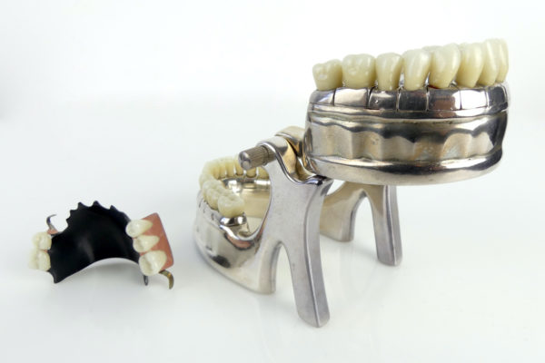 Modèle VÉCABÉ pour dentiste (mâchoire ouverte)