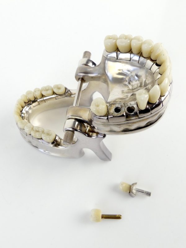Modèle VÉCABÉ pour dentiste (mâchoire ouverte dessus)