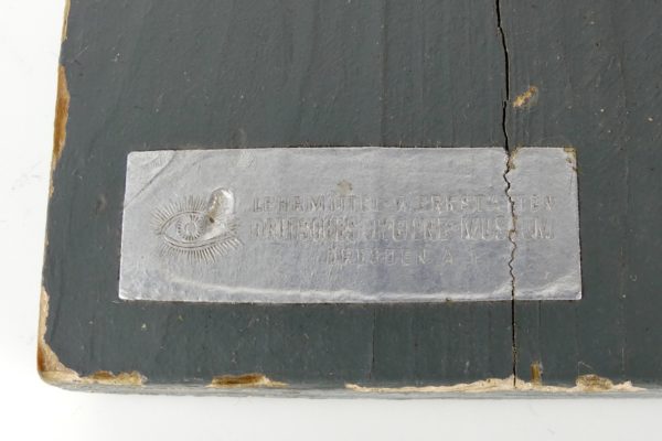 Modèle ORL d'anatomie (détail)