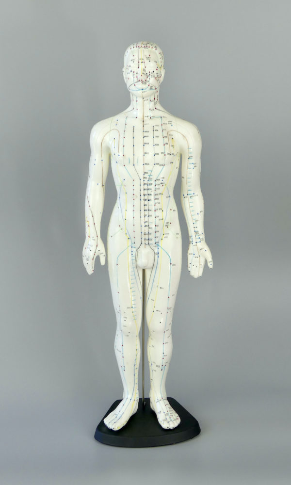 Grand mannequin acupuncture homme (face)