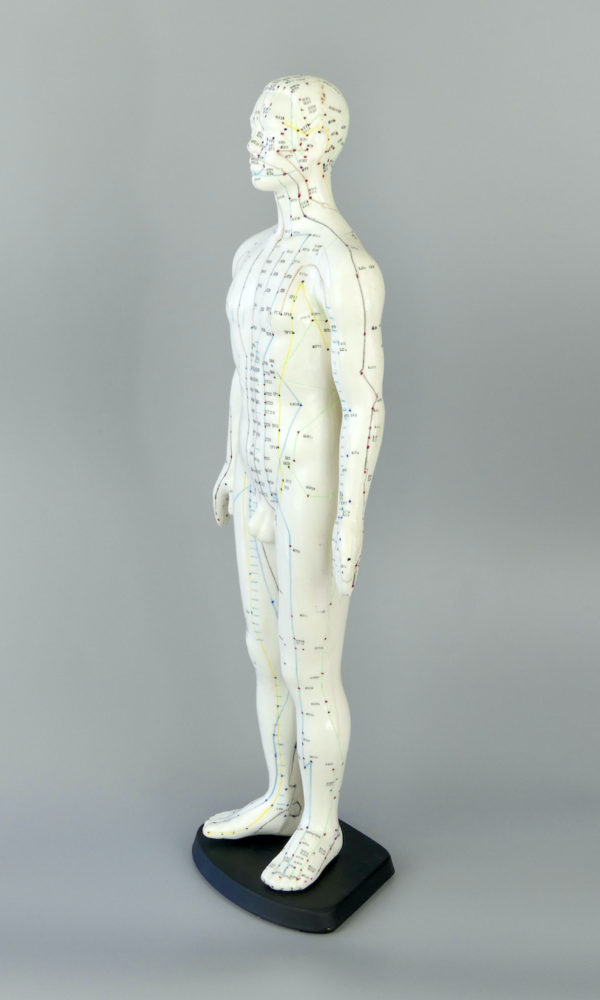 Grand mannequin acupuncture homme (profil)