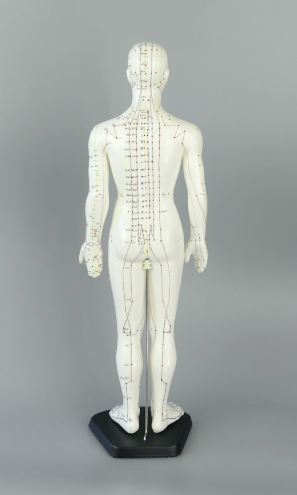 Grand mannequin acupuncture homme (dos)