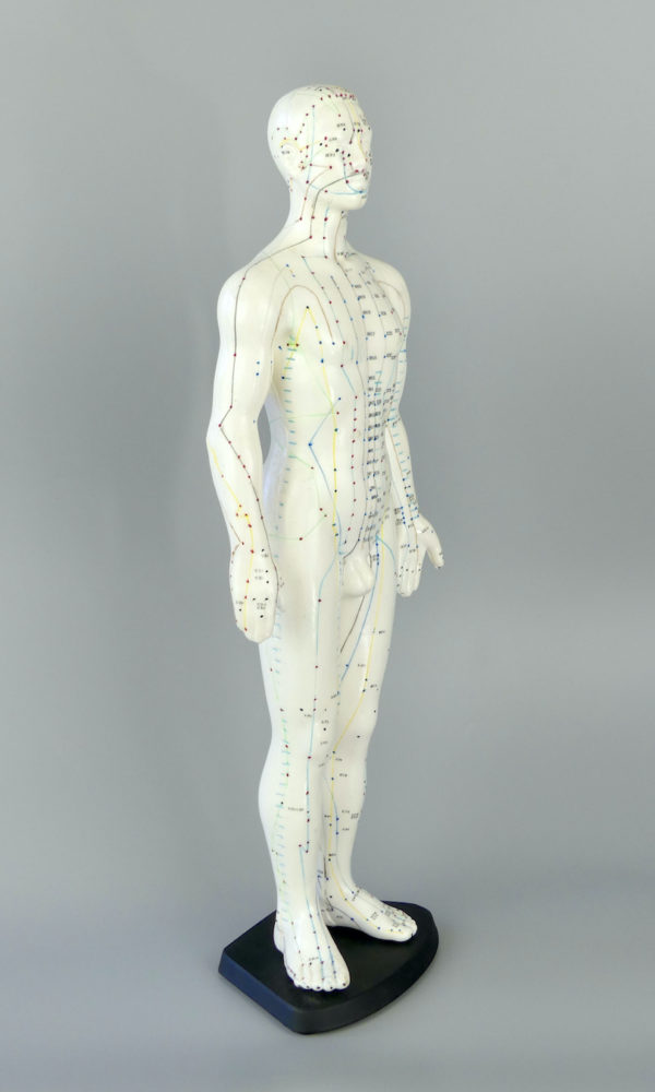 Grand mannequin acupuncture homme (3/4)