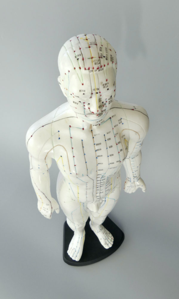 Grand mannequin acupuncture homme (dessus)