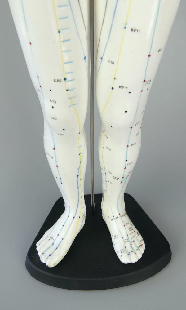 Grand mannequin acupuncture homme (jambes)