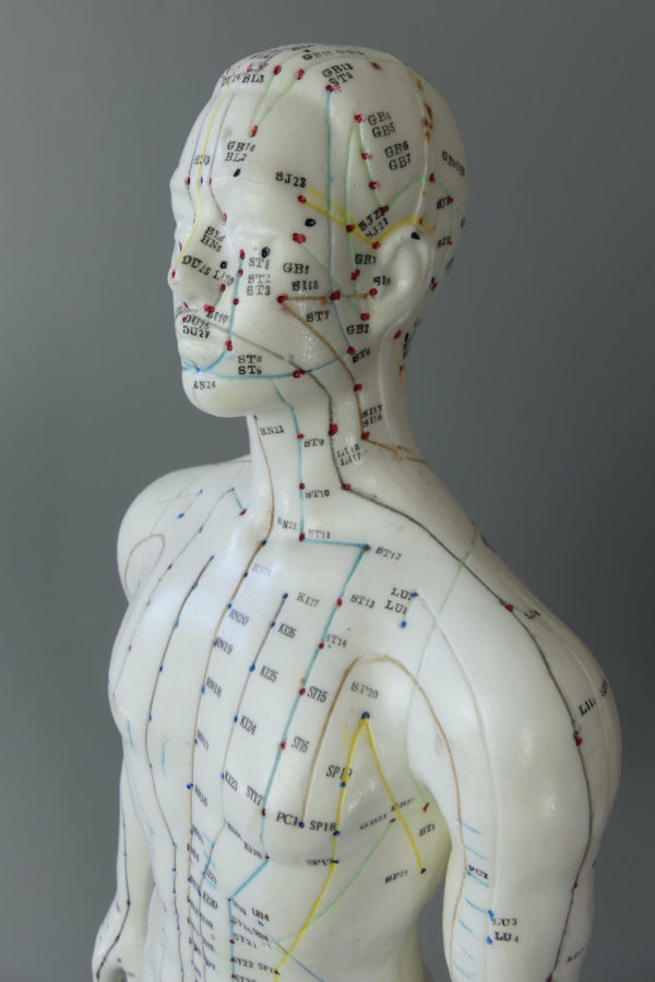 Grand mannequin acupuncture homme (détail 3/4)