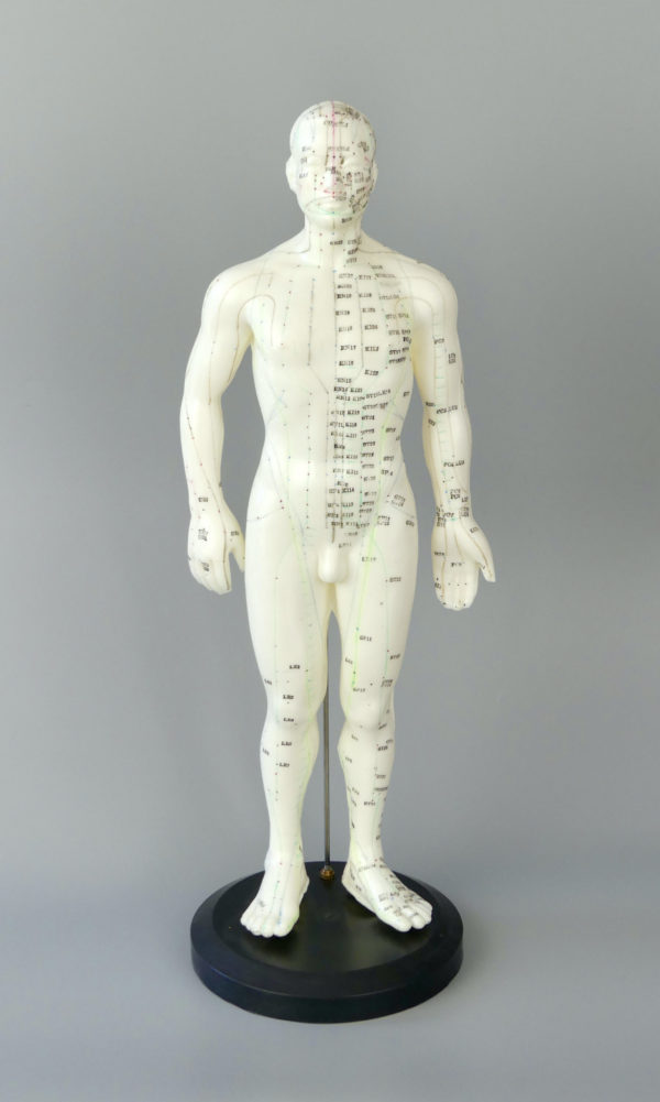 Mannequin acupuncture homme (face)