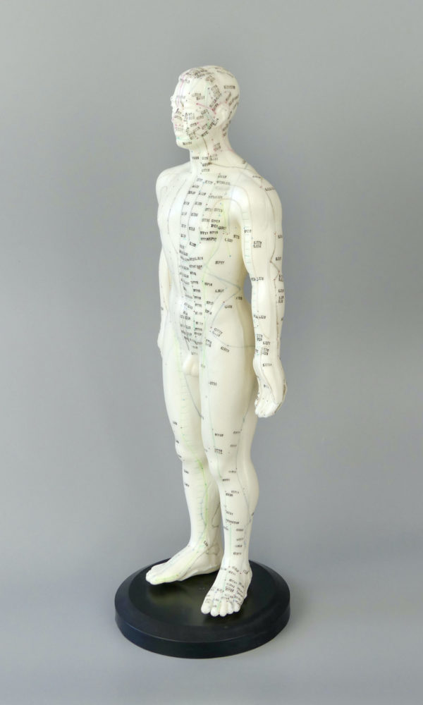 Mannequin acupuncture homme (3/4)