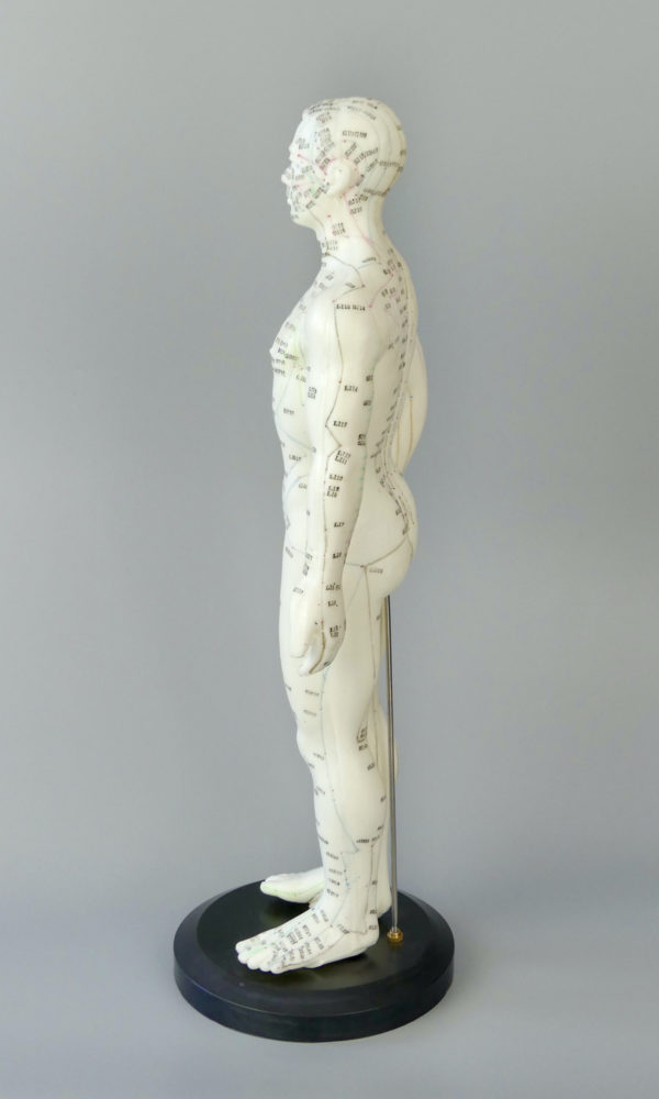 Mannequin acupuncture homme (profil)
