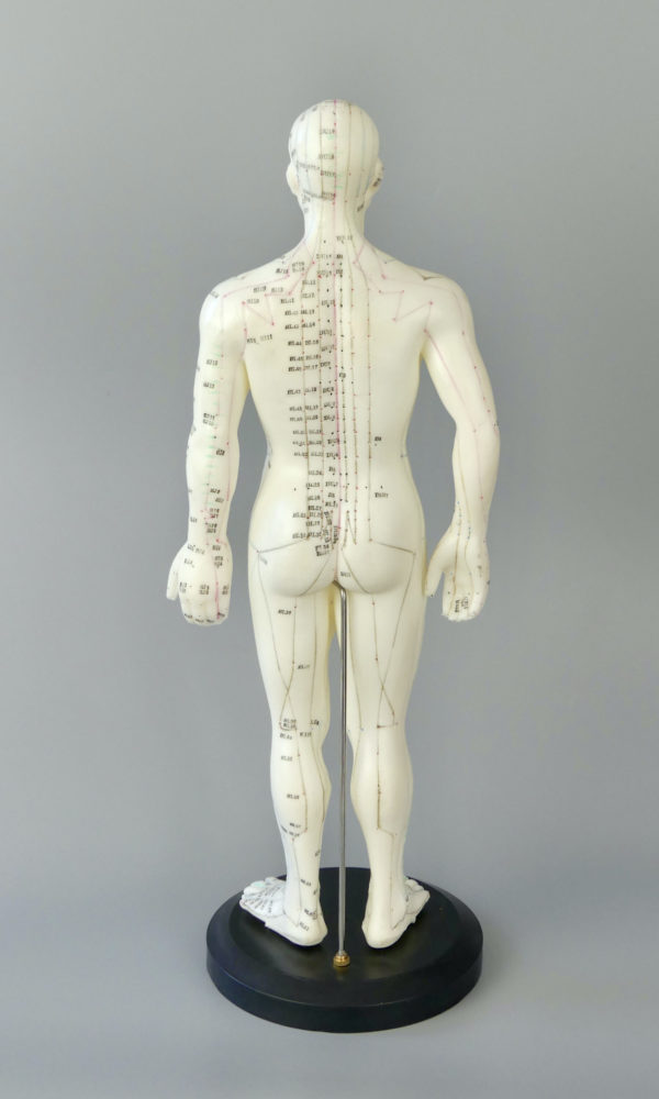 Mannequin acupuncture homme (dos)