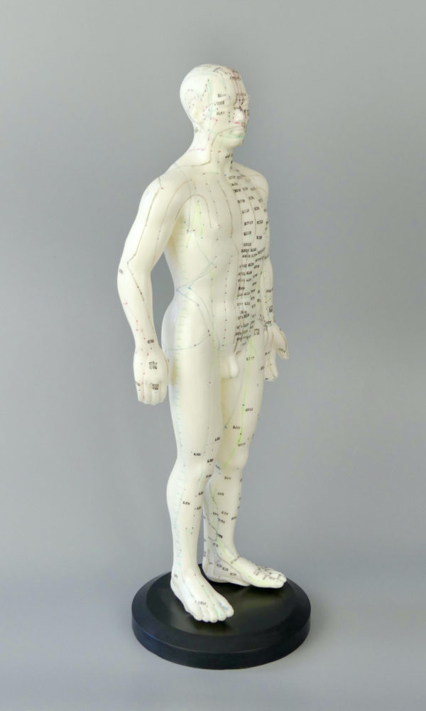 Mannequin acupuncture homme (3/4)