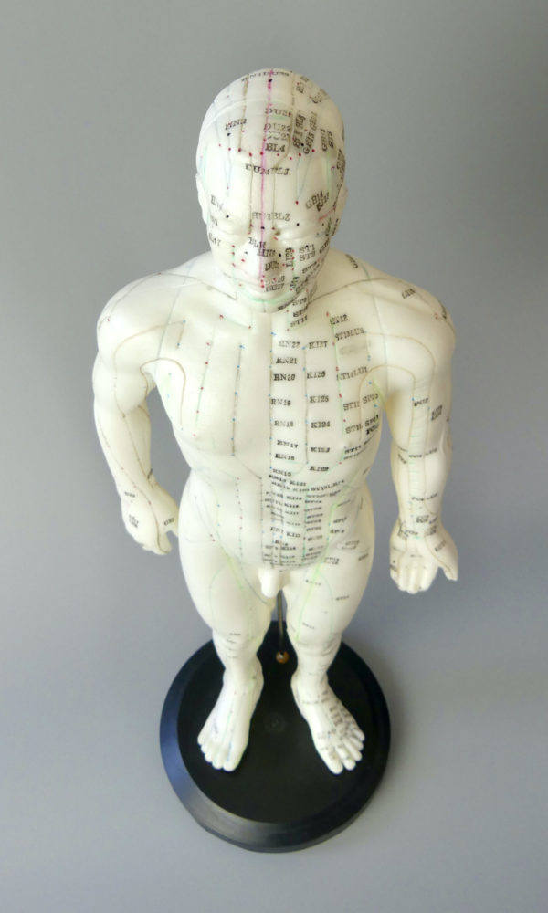Mannequin acupuncture homme (dessus)