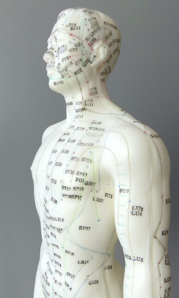 Mannequin acupuncture homme (détail 3/4)