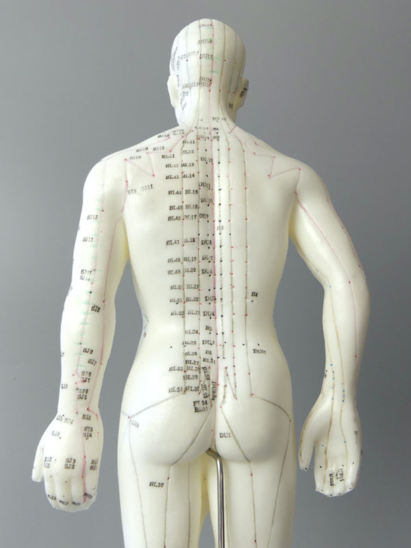 Mannequin acupuncture homme (détail dos)