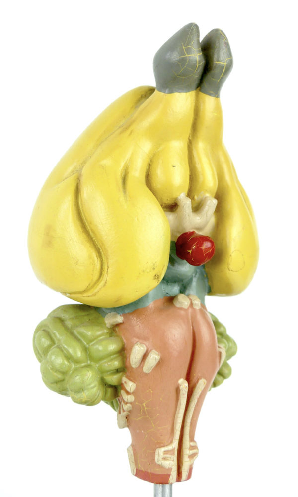 Modèle d'anatomie cerveau de lapin (détail 3/4)