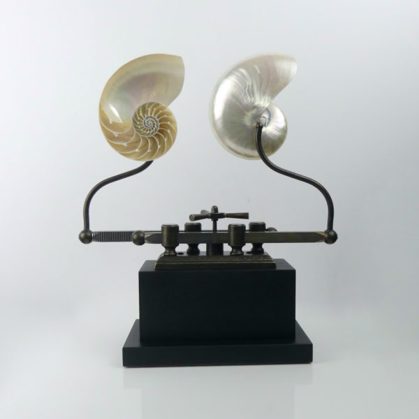 Nautile mécanique steampunk (face ouvert)