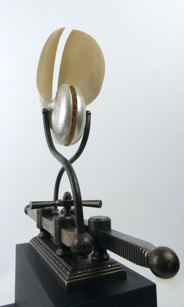 Nautile mécanique steampunk (3/4)