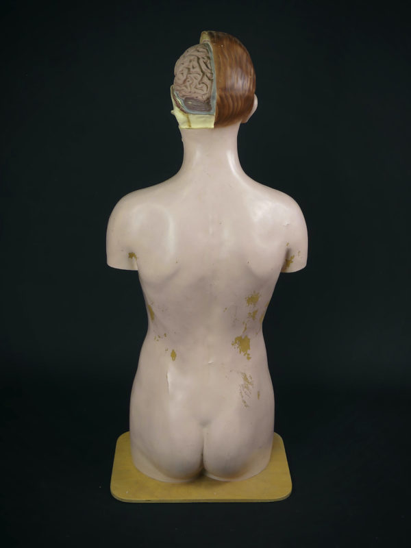 Grand mannequin clastique ancien (dos)