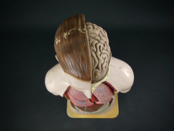 Grand mannequin clastique ancien (dessus)