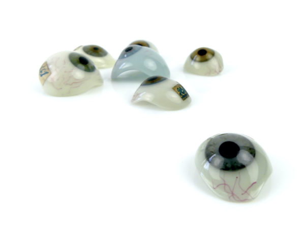 Coffret complet de 100 globes oculaires (détail)