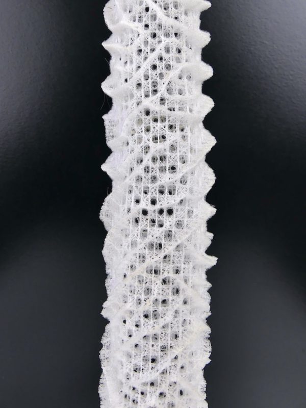 Éponge siliceuse blanche sur socle (détail)