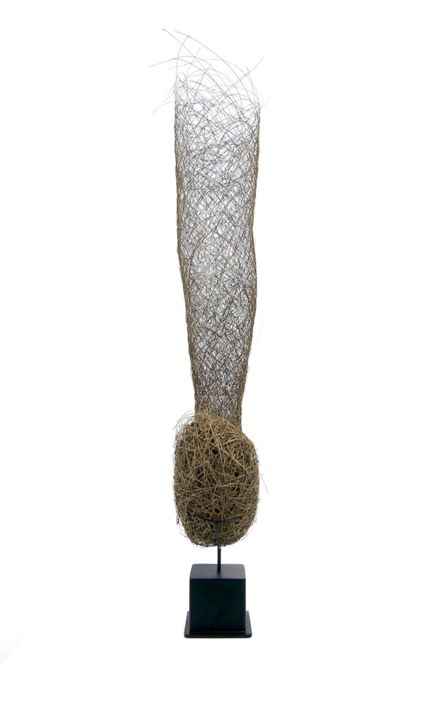 Grand nid de Tisserin sur socle (face)