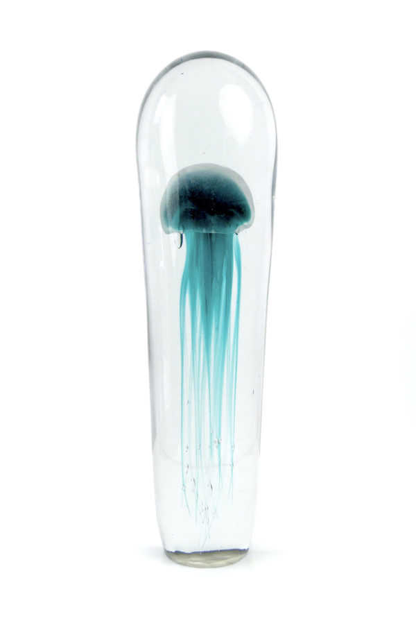Grande sulfure bleu turquoise méduse fossilisée en verre (face)