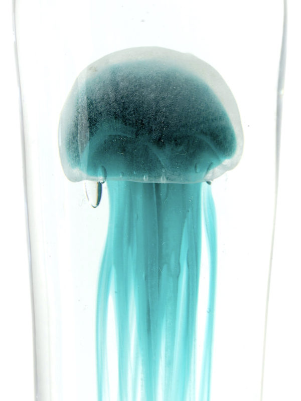 Grande sulfure bleu turquoise méduse fossilisée en verre (détail)