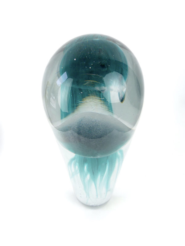 Grande sulfure bleu turquoise méduse fossilisée en verre (dessus 3/4)