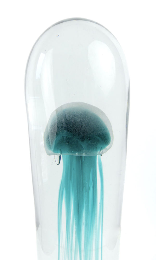 Grande sulfure bleu turquoise méduse fossilisée en verre (détail)