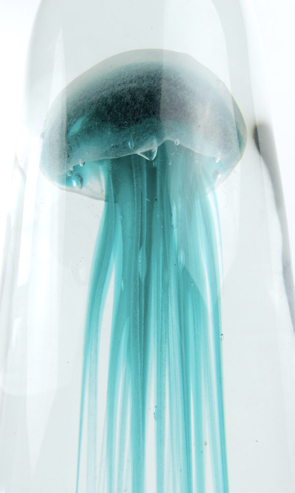 Grande sulfure bleu turquoise méduse fossilisée en verre (détail)