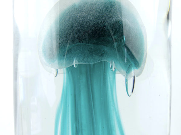 Grande sulfure bleu turquoise méduse fossilisée en verre (détail)