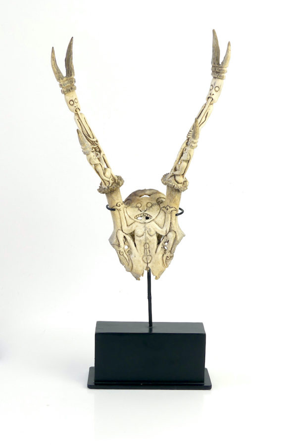 Trophée de cervidé Dayak sculpté (face)