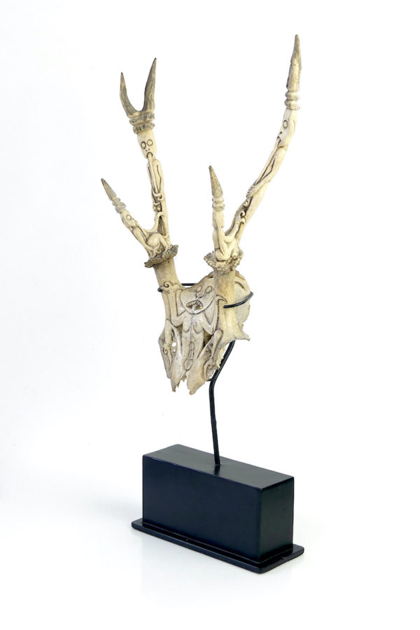Trophée de cervidé Dayak sculpté (3/4)