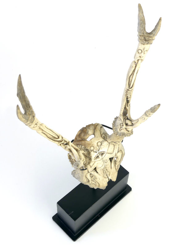 Trophée de cervidé Dayak sculpté (dessus 3/4)