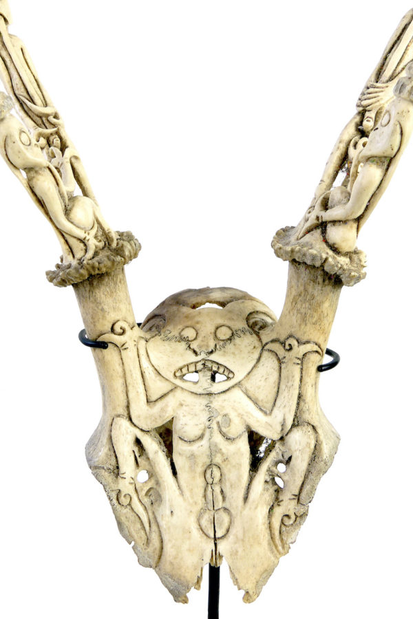 Trophée de cervidé Dayak sculpté (détail)