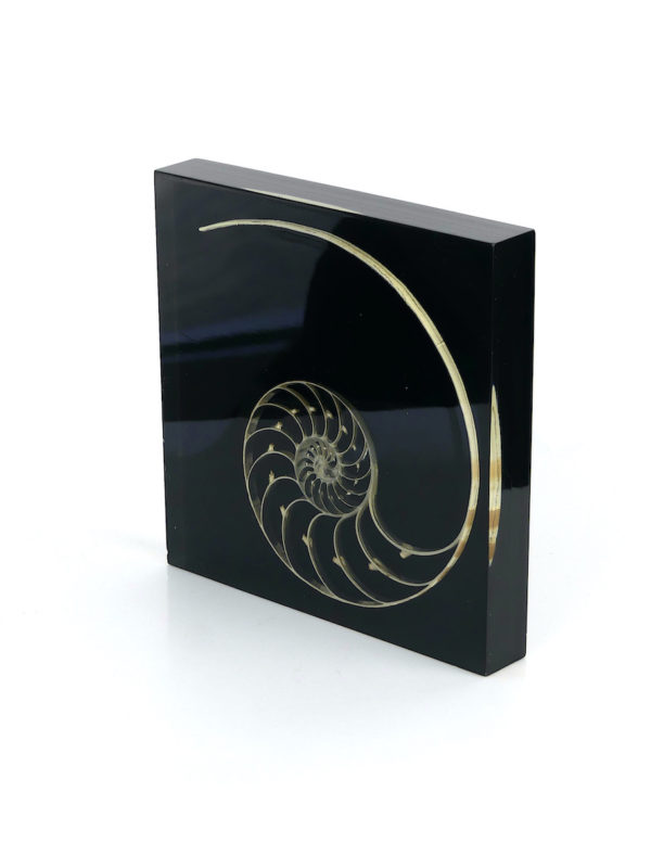 Sculpture nautile en inclusion de Pierre Giraudon (3/4)