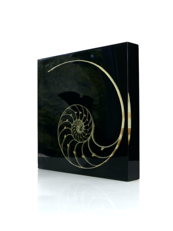Sculpture nautile en inclusion de Pierre Giraudon (3/4)
