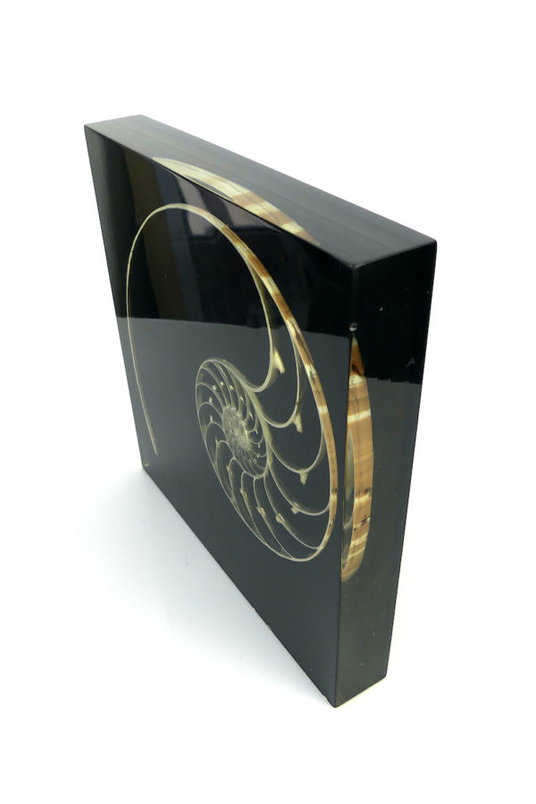 Sculpture nautile en inclusion de Pierre Giraudon (3/4)