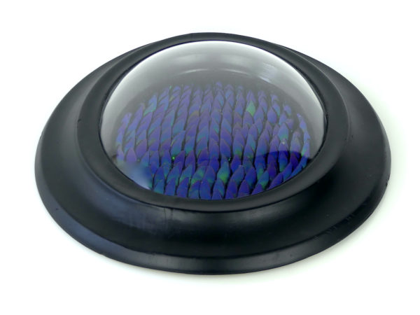 Cadre oval d’élytres à verre bombé (dessus 3/4)