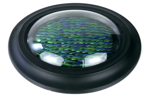 Cadre oval d’élytres à verre bombé (profil)