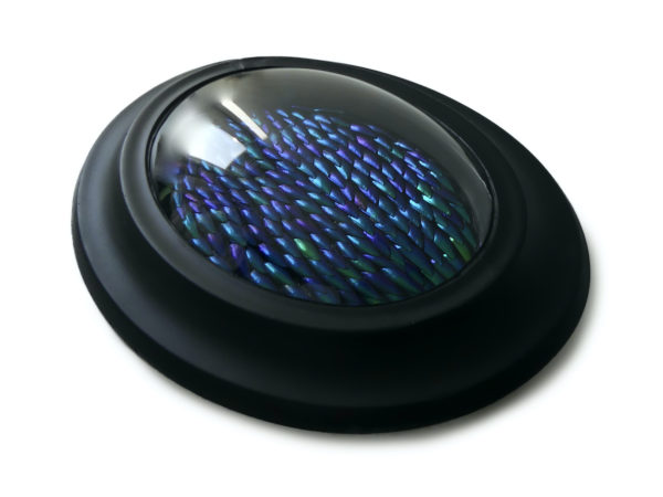 Cadre oval d’élytres à verre bombé (3/4)