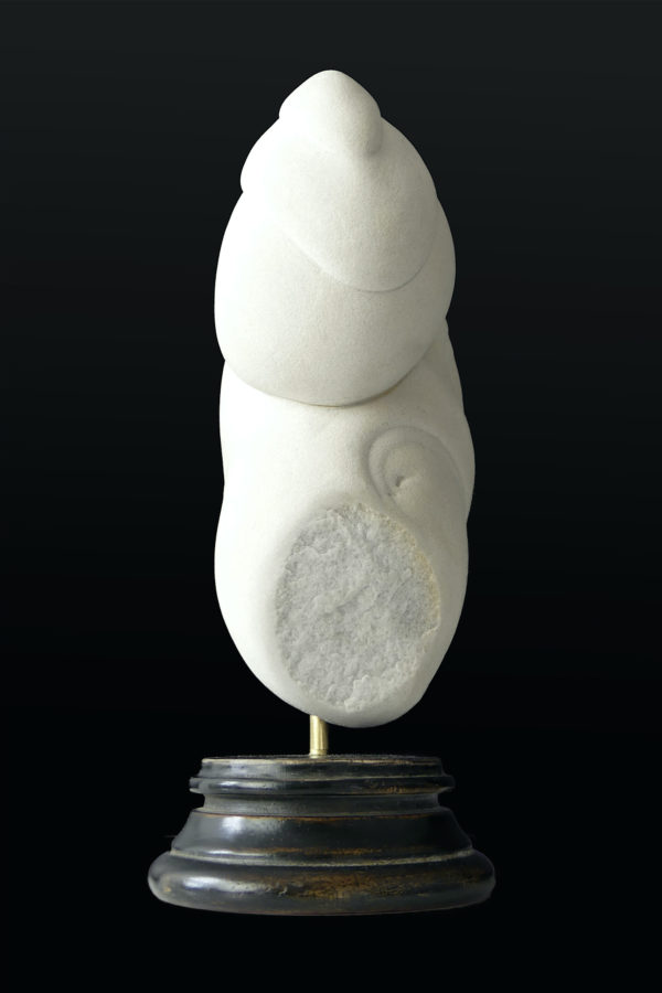 Gogote de Fontainebleau sur pied (profil)