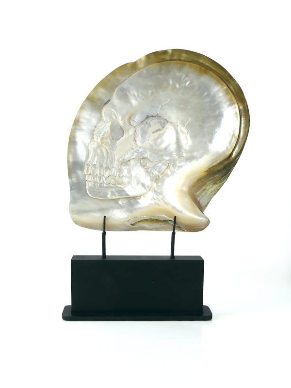 Grande coquille Skull d’huître perlière sculptée (face)