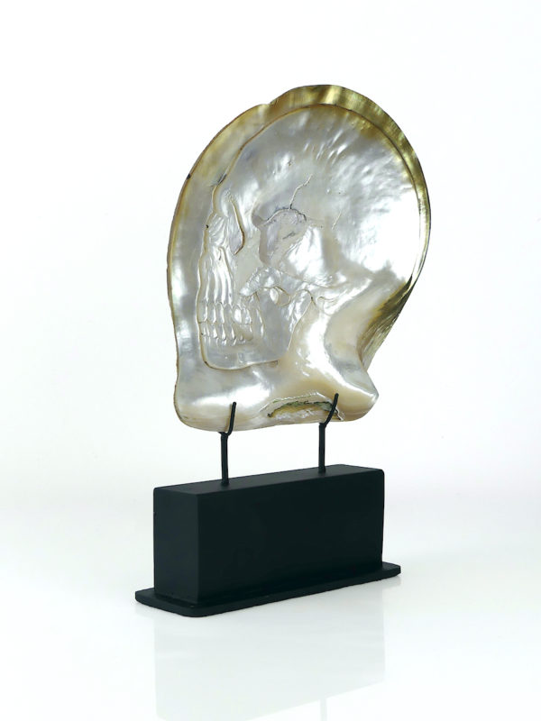 Grande coquille Skull d’huître perlière sculptée (3/4)