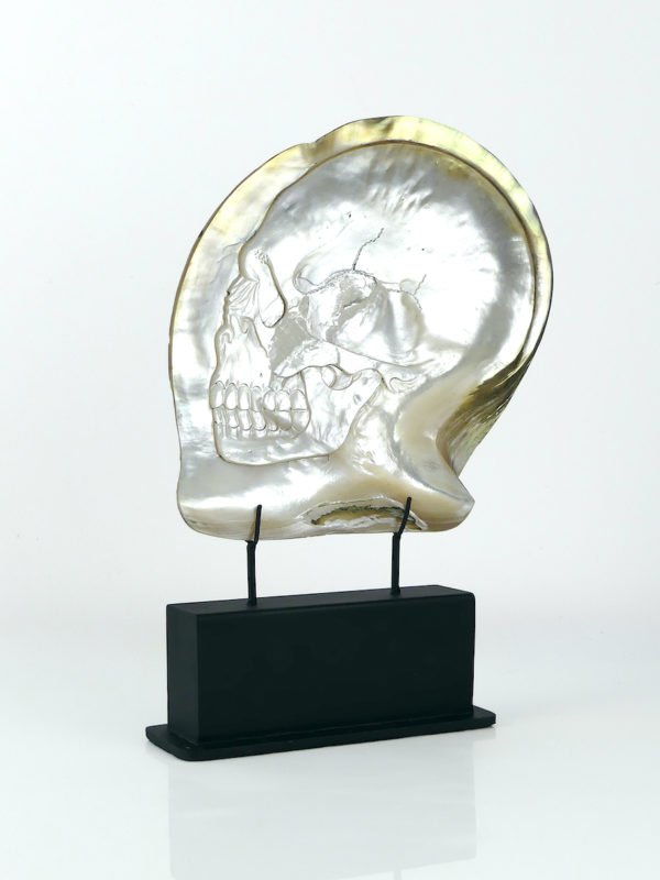 Grande coquille Skull d’huître perlière sculptée (3/4)